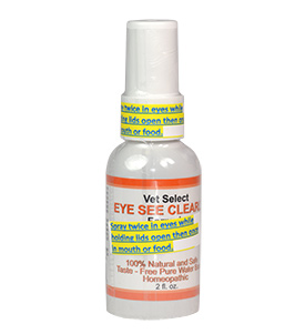 Homeopathic Natural Home Epilepsy In Dogs Homeopathic Natural Home Epilepsy In Dogs