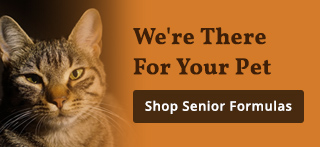 Testimonials Ad