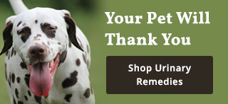 Testimonials Ad