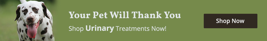 Testimonials Ad