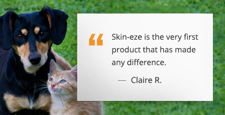 Skin eze Shampoo From AllergicPet