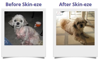 Before and After Skin-eze