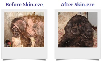 Before and After Skin-eze