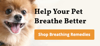 Do Dogs Have Asthma? mobile banner