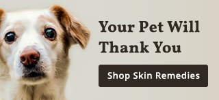 Can Dog Allergies Cause Bacterial and Yeast Infections? Skin-eze banner image mobile