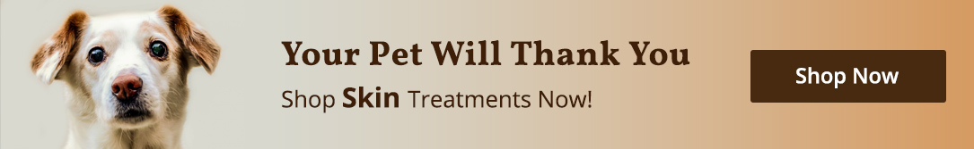Can Dog Allergies Cause Bacterial and Yeast Infections? Skin-eze banner image mobile