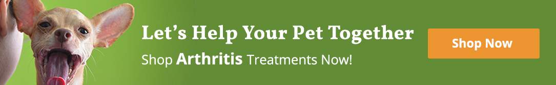 What is Dog Arthritis? banner