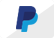 PayPal card Icon